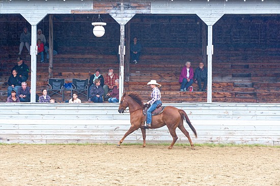 Horse Show Photos