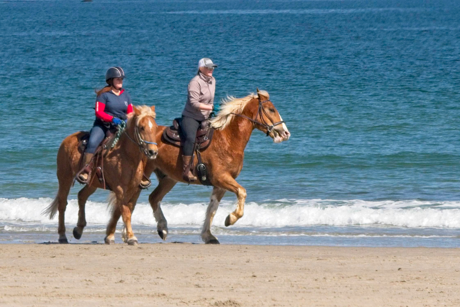 beach 32121 (19).jpg